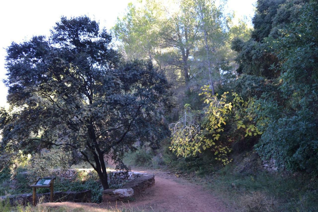 La Coveta Rural Apartment Villafames Bagian luar foto